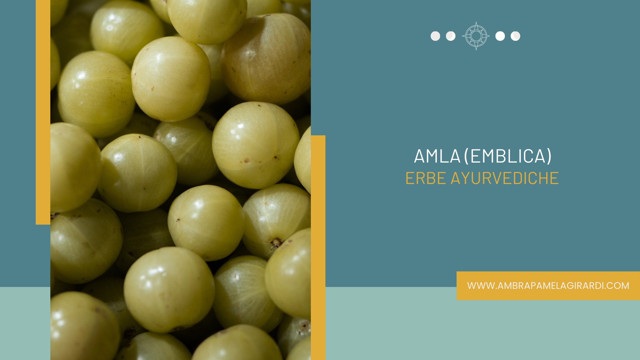 Al momento stai visualizzando AMLA (EMBLICA) <br/>ERBE AYURVEDICHE